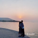 故事的小黄花