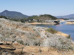 -广州市流溪河国家森林公园