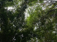 -成都杜甫草堂博物馆