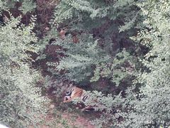 -大青山野生动物园