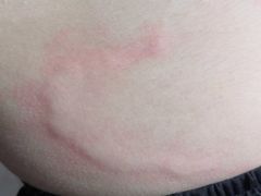 -上海交通大学医学院附属仁济医院(南院)