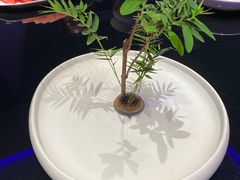 -墨宴(西洋湖店)