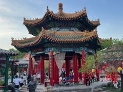 -曹州牡丹园