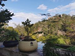 -厦门园林植物园-植物园滴水山房