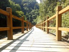 -九龙江国家森林公园