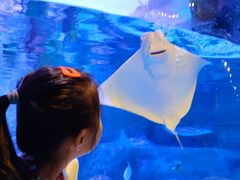 -沈阳海洋探索中心