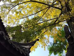 -龙潭水乡