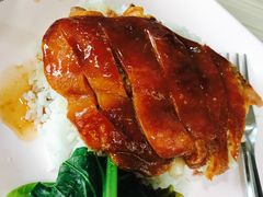 -鸡饭店