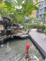 -宝生月子中心·私家园林式(龙华观澜店)