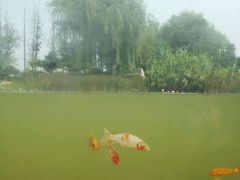 android_upload_pic-云龙湖旅游景区