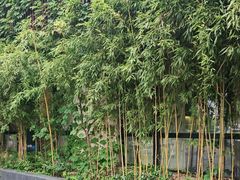 -溪畔•新徽菜(碧湖云溪店)