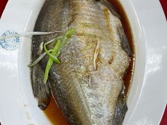 清蒸武昌鱼-农园餐厅(北京大学店)