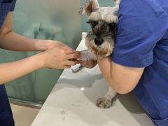 -菲尔斯特宠物医院