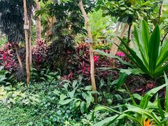 -北京植物园-展览温室
