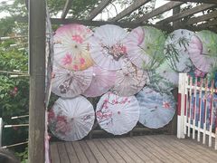 -青青世界