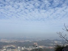 -午潮山国家森林公园