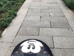 -西湖外事游船(花港观鱼码头)