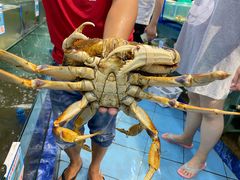 -琼大师东方烤乳猪(亚特兰蒂斯店)