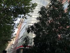 -同济大学附属口腔医院