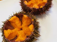 -海胆小馆(东北水饺·春柳店)