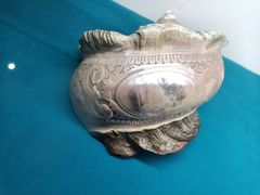 -青岛贝壳博物馆