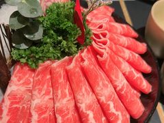 -季季山•云南野生菌火锅(上海首店)