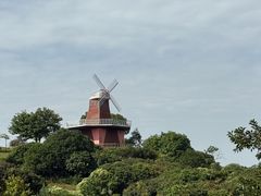 -东莞植物园