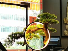 -喜上喜鸡煲翅(吉大店)