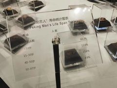 -北京周口店北京人遗址博物馆