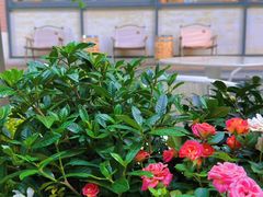 -Beans Solo豆号咖啡(百家湖花园店)