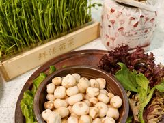 -烹然四季椰子鸡火锅(团结湖总店)