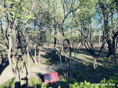 -森林公园(尖草坪区)