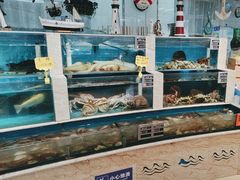 -福娣·金沙银贝海鲜火锅