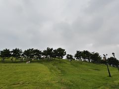 -小麦岛公园