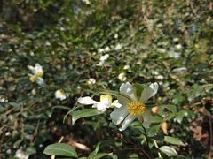 -敬亭山风景名胜区