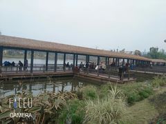 -枫香湖儿童公园