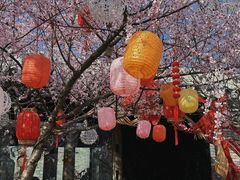 -三里河公园