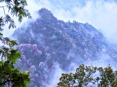 -塔云山