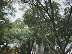 -荔湾湖公园