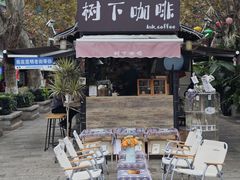 -树下咖啡(昆明老街店)