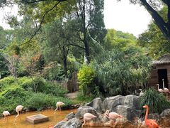 -昆明动物园