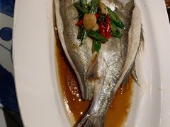 -绿茶餐厅(布吉万象汇店)