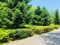 -长白岛森林公园