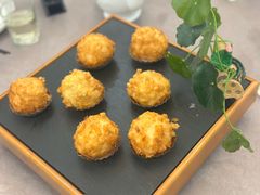 -丁老爷子苏香圆