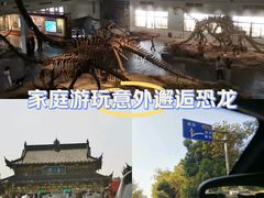 -自贡恐龙博物馆