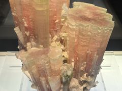 -安徽省地质博物馆