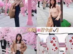 -金茂览秀城