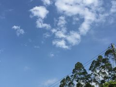 -惠州惠阳丽景国际花园酒店(市政广场店)