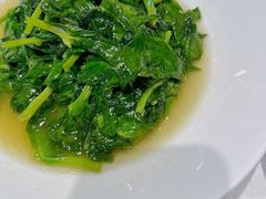 炒豆苗-品悦酒店(三林古镇店)