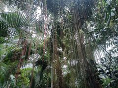 -国家植物园南园